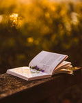 Reading Party & Brunch al Bar Chiuso di Moleto