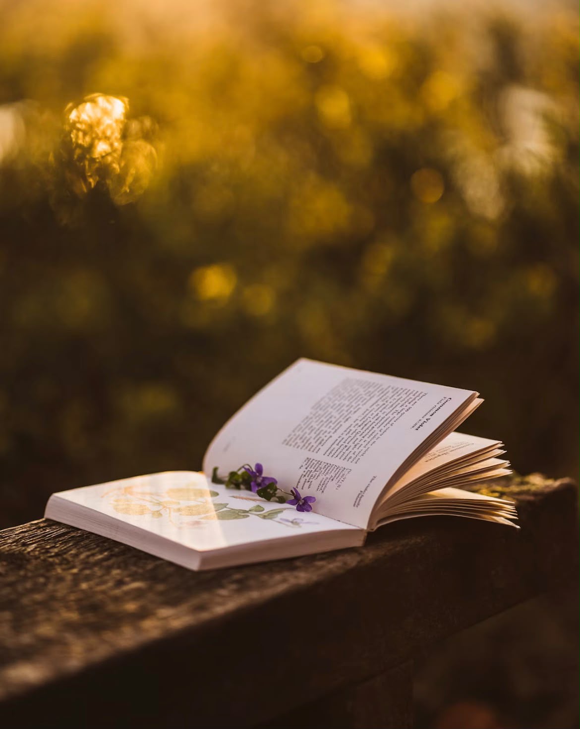 Reading Party & Brunch al Bar Chiuso di Moleto